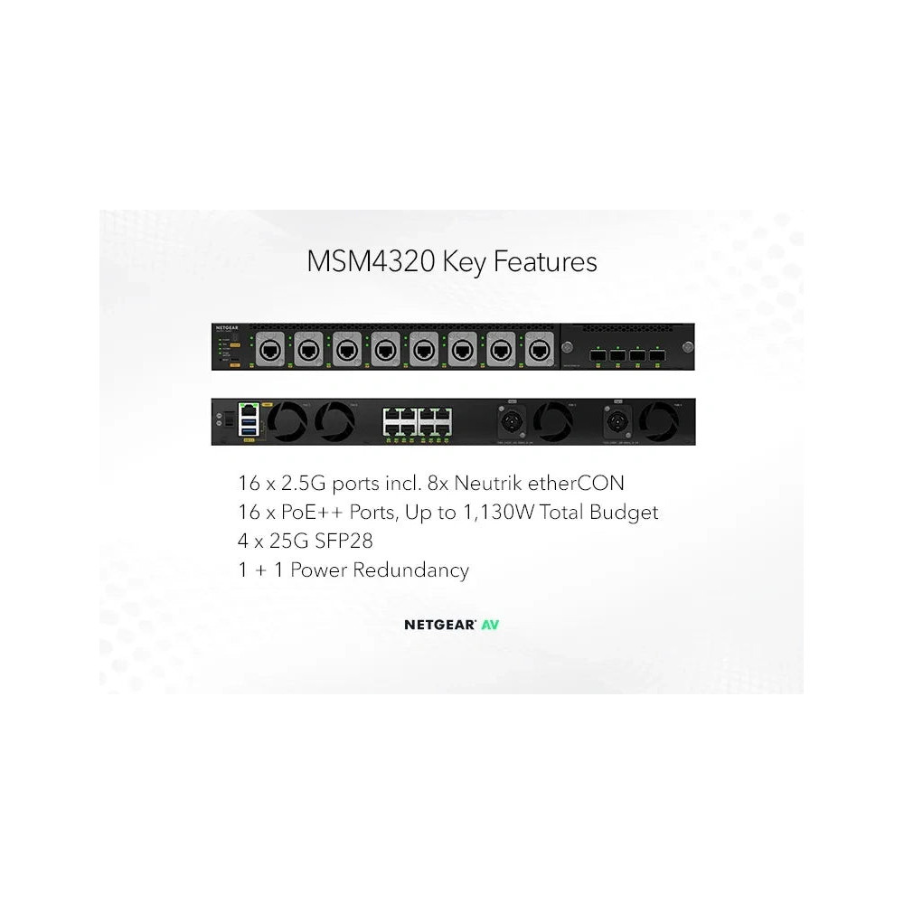 MSM4320-100NES